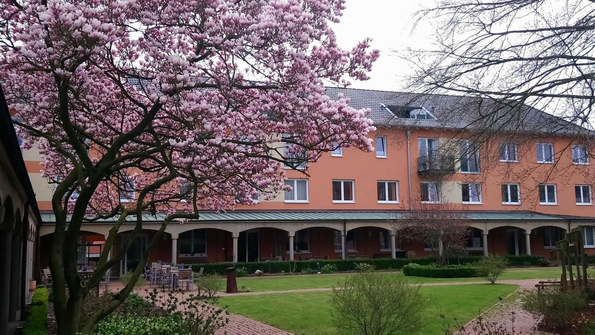 קבלאאר Hotel Klostergarten מראה חיצוני תמונה